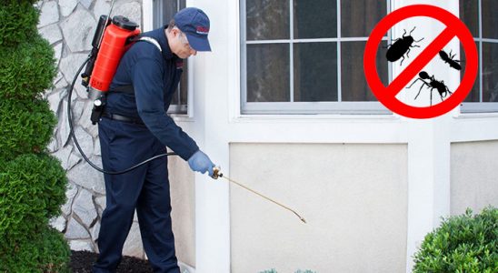 Havza Fare İlaçlama böcek ilaçlama ve haşere kontrolü — ilaclama-tr.com